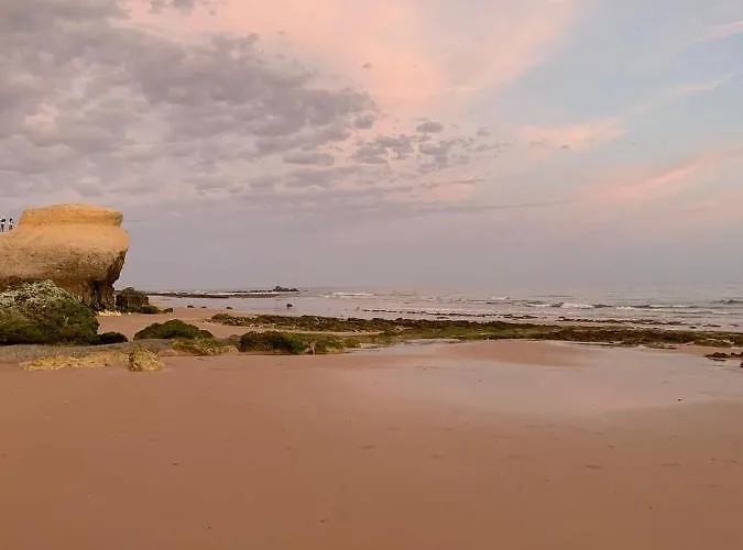 Casa Corais * 기아